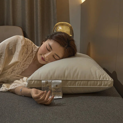 Mulberry Silk Pillow 7A Antibacterial Sleeping Pillow Luxury Comfortable Cotton Shell Hotel Bed Pillows